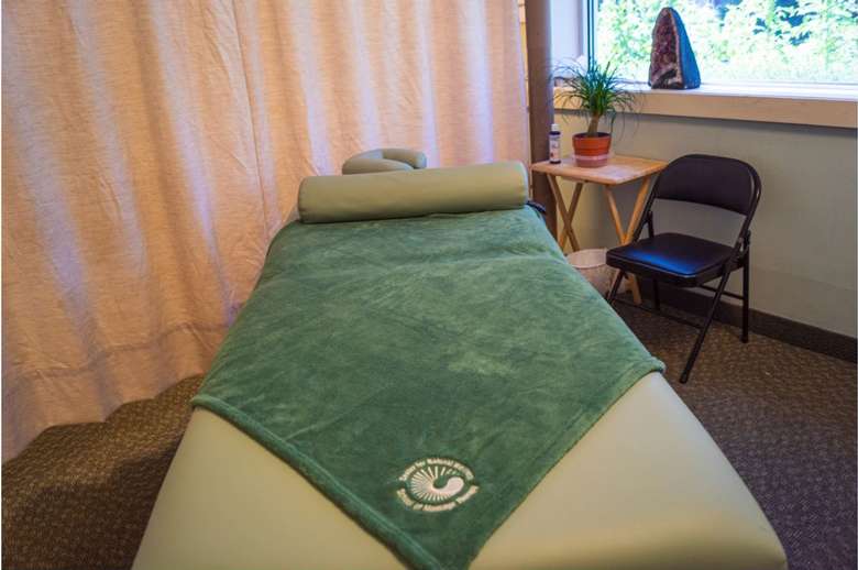 Center For Natural Wellness In Albany Ny Professional