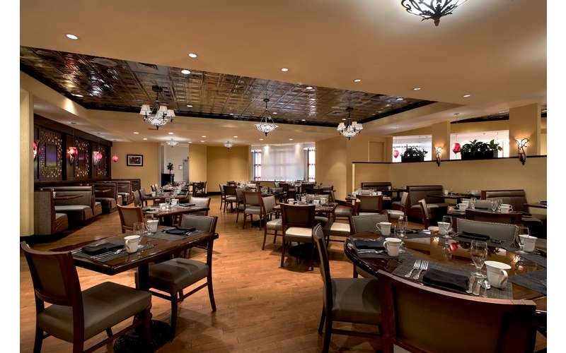 Albany Marriott A Sophisticated Hotel With Modern Amenities in Albany, NY