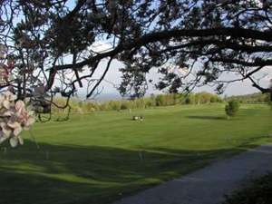 view of the green gold course shot through the overhanging branches of a flowering tree