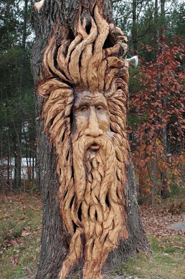 elaborate carving of a bearded, long haired face in a tree