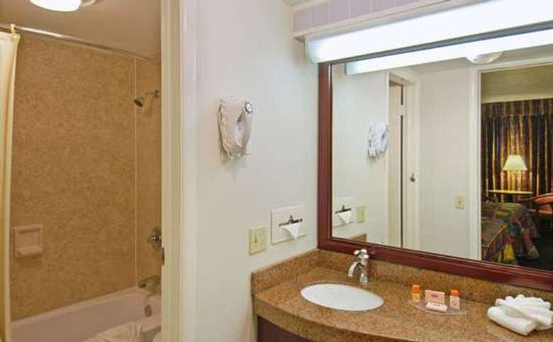 a hotel bathroom with a sink, a mirror on the wall, and a shower