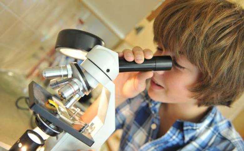 boy looking into microscope