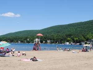 people on sandy beach