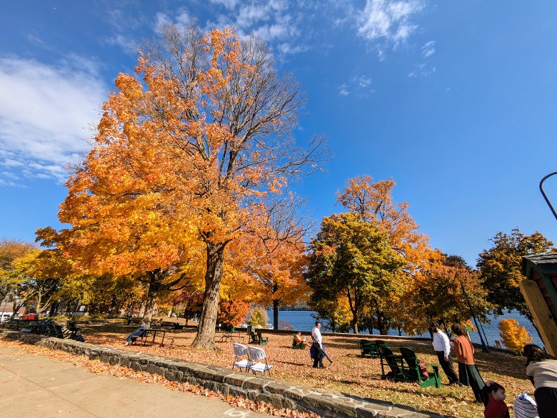 shepard park beach in fall
