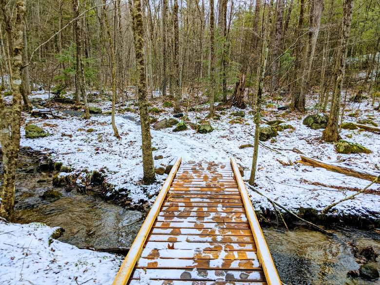 walking bridge in woods in winter