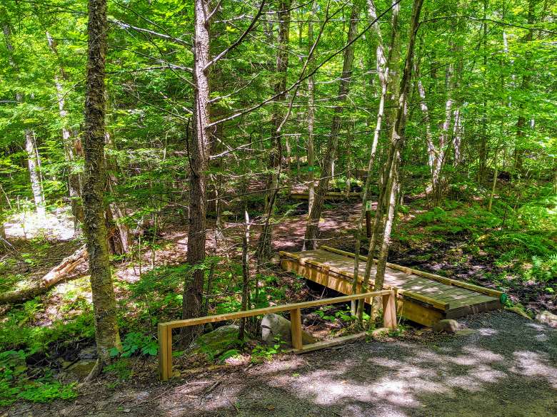 trail and walking bridge in woods