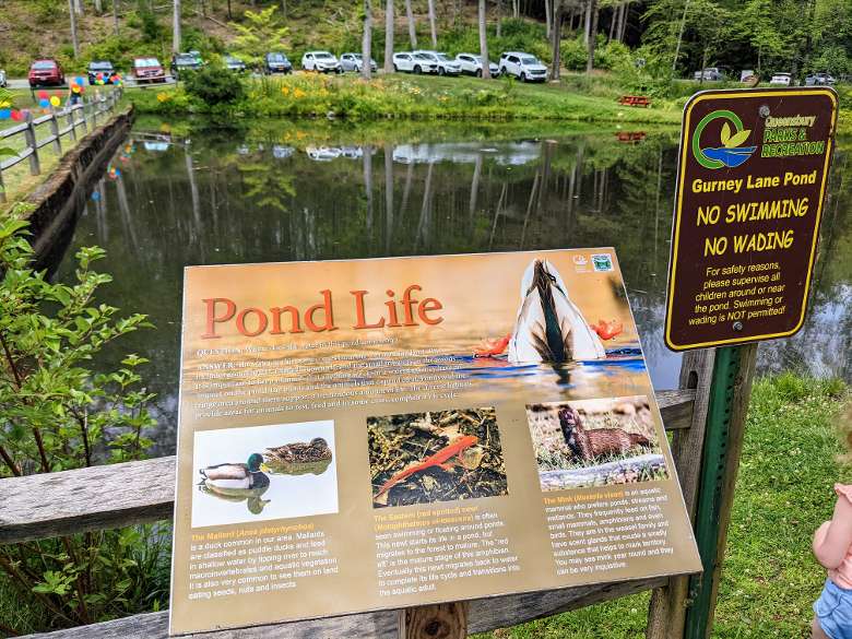 pond life sign by pond