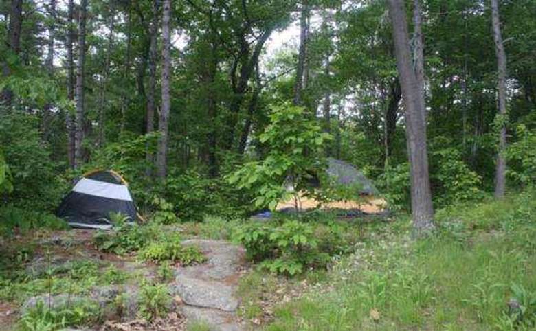 two tents set up at a wooded campsite