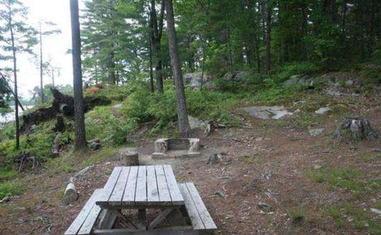 a wooden picnic table in a small clearing for a campsite