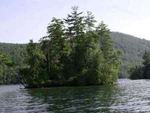 an island on a lake with thick and tall green trees, and you can see mountains in the far background