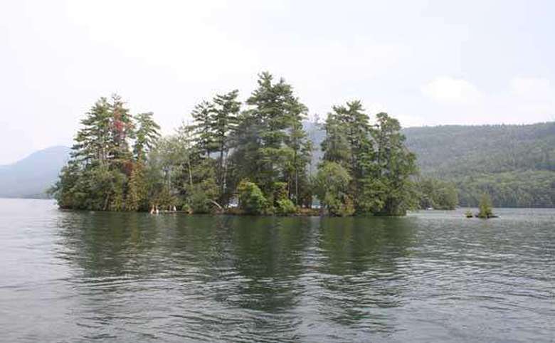 a small island with tall green trees on a lake