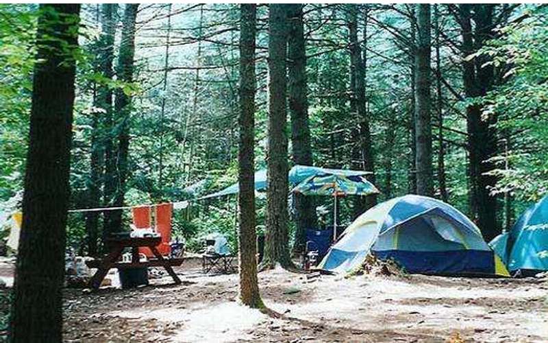 Stewarts Pond Campsites | Go Camping America