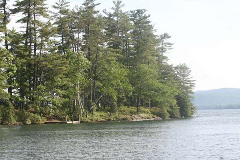an island on a lake that is covered in trees