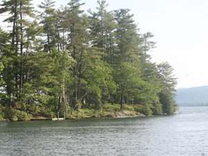 an island on a lake that is covered in trees