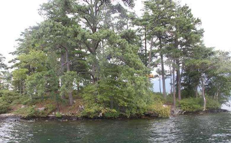 a large island on a lake with tall green trees