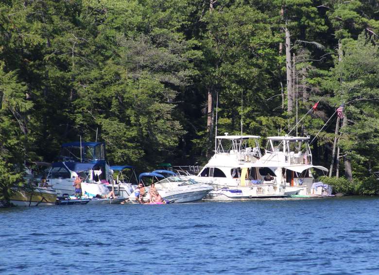 a few cruisers and smaller motorboats at a dock of a lake shoreline