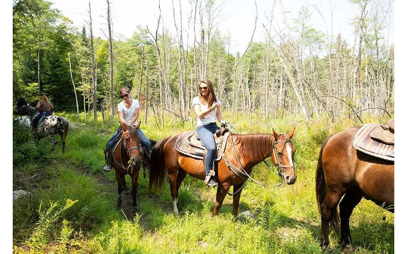 Circle B Ranch Adirondack Horseback Riding & HorseDrawn Rides in