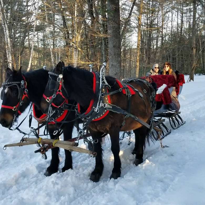 two people on a sleigh ride in the woods