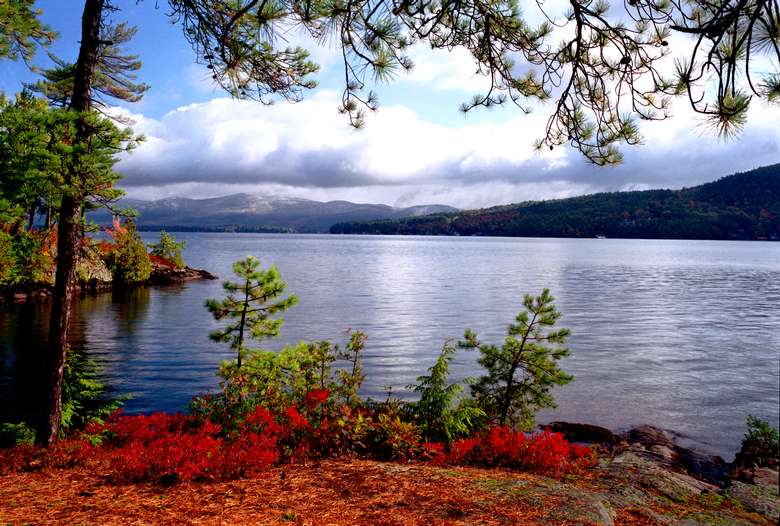 Info & Reviews of DaviesDavies & Associates Real Estate, LLC