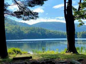 scenic lake surrounded by trees