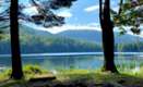 scenic lake surrounded by trees