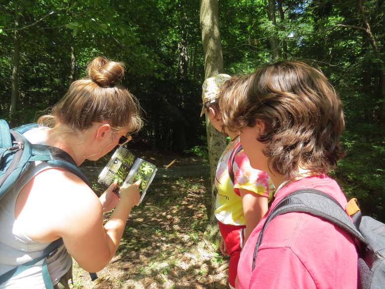 counselor shows campers tree id book