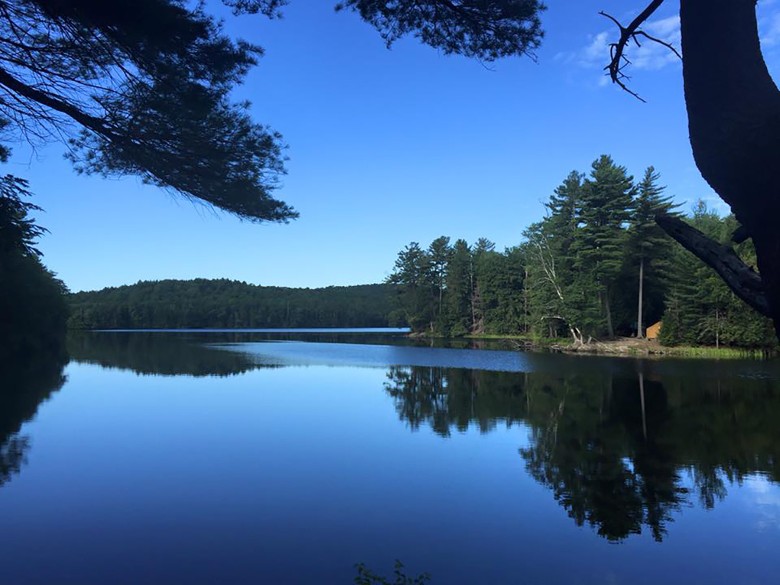looking across the lake at a tent in pine point