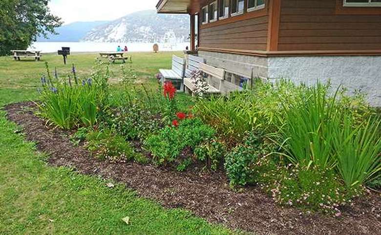 Greenery and flowers in a native plant garden with picnic tables and Lake George in the background