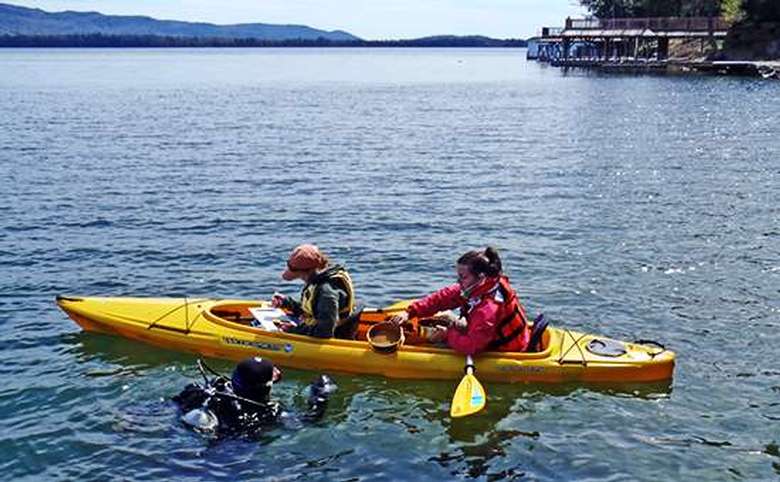 Two people in a yellow kayak and a person in scuba gear surveying samples for Asian clams