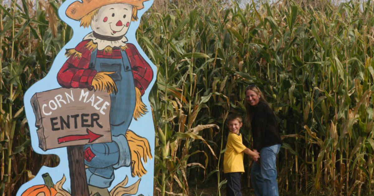 Corn Mazes In Albany, NY
