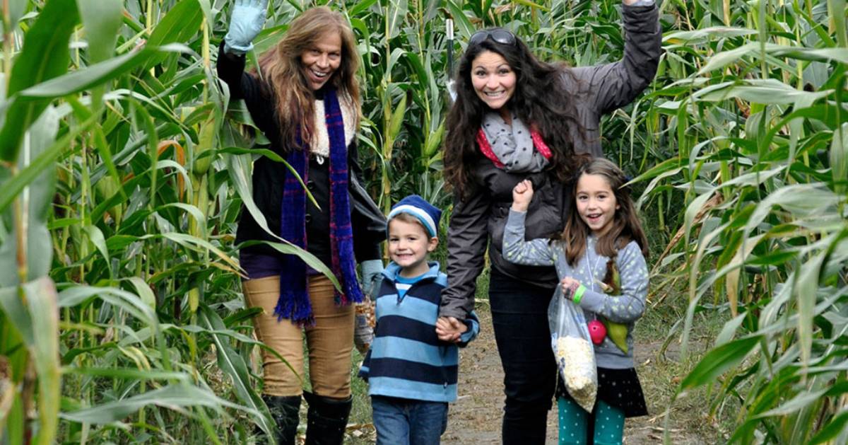 Explore Corn Mazes in the Clifton Park, NY Area