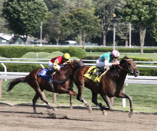 horses racing at saratoga race course