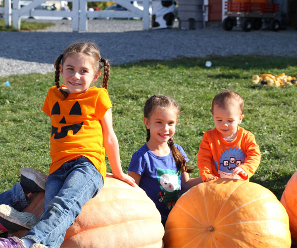 three kids sitting on pumpkins