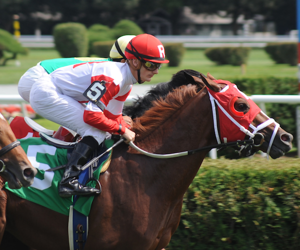 person racing on a horse