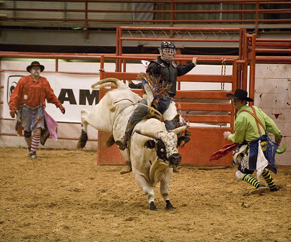 bull rider