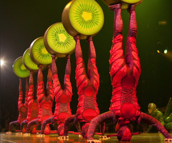 performers dressed as insects balancing kiwis