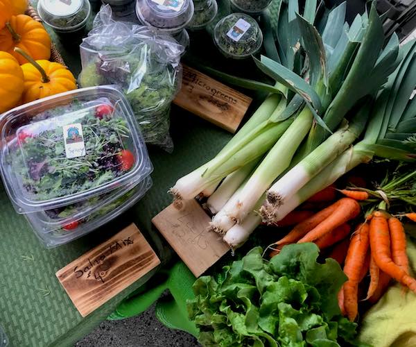 produce from the Troy Farmers Market