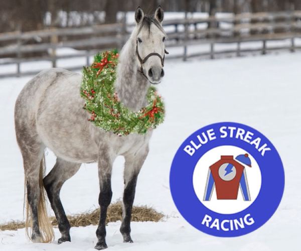 horse standing with a wreath around its neck