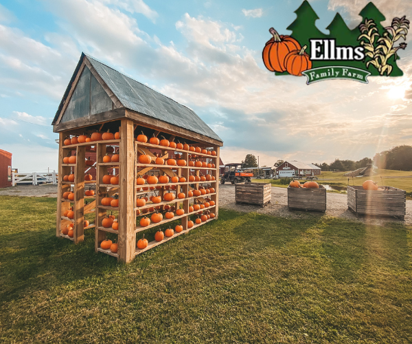 Ellms Family Farm Pumpkin House