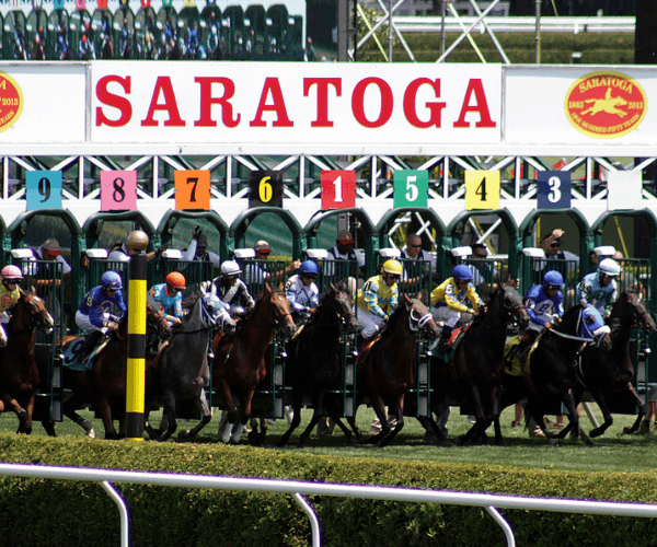 Horses racing out of the gate at Saratoga Race Course