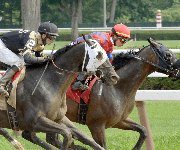 Horses and Jockies racing at Saratoga Race Course