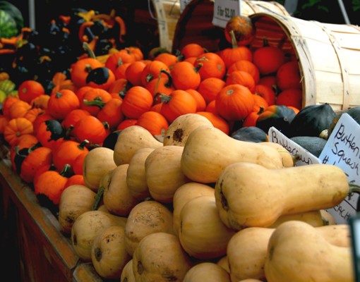 Opening Day - Clifton Park Winter Market (1)