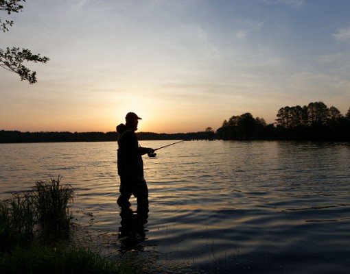 Free Fishing Days in NY State (1)