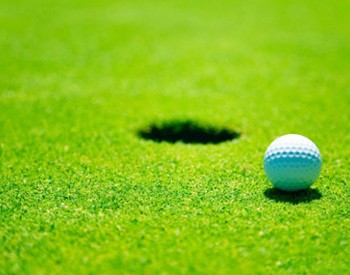 golf ball by a hole