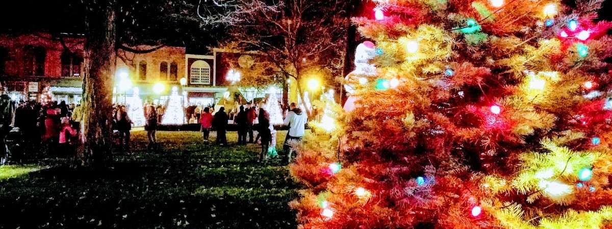closeup of christmas tree with people in background in park