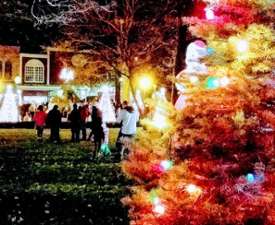 closeup of christmas tree with people in background in park