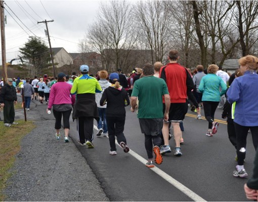 large group of people running in a race