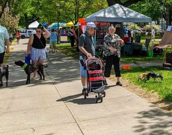 people and dogs at glens falls pet fest