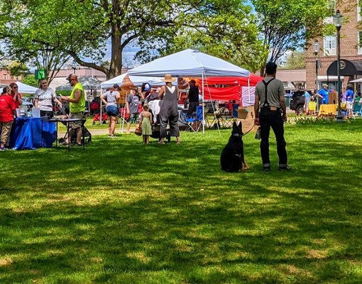 man with dogs stands in front glens falls pet fest vendors