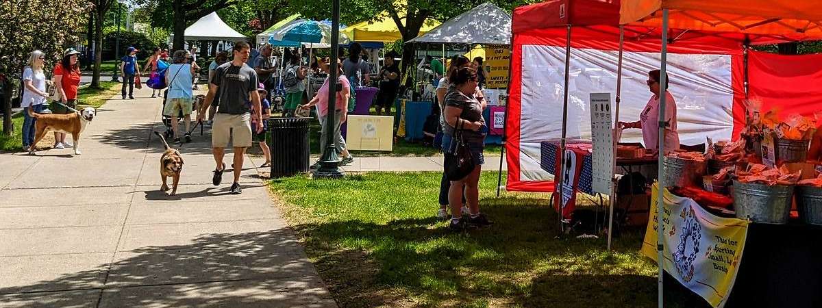 people and dogs at glens falls pet fest